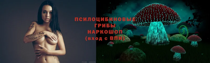 Псилоцибиновые грибы Magic Shrooms  цена   Семилуки 